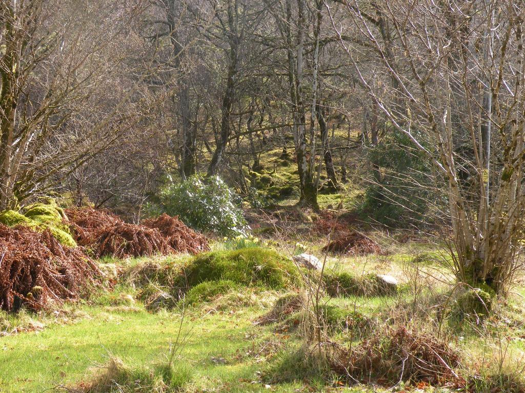 Mchugh And Loudon Cottages Saint Catherines Exteriér fotografie